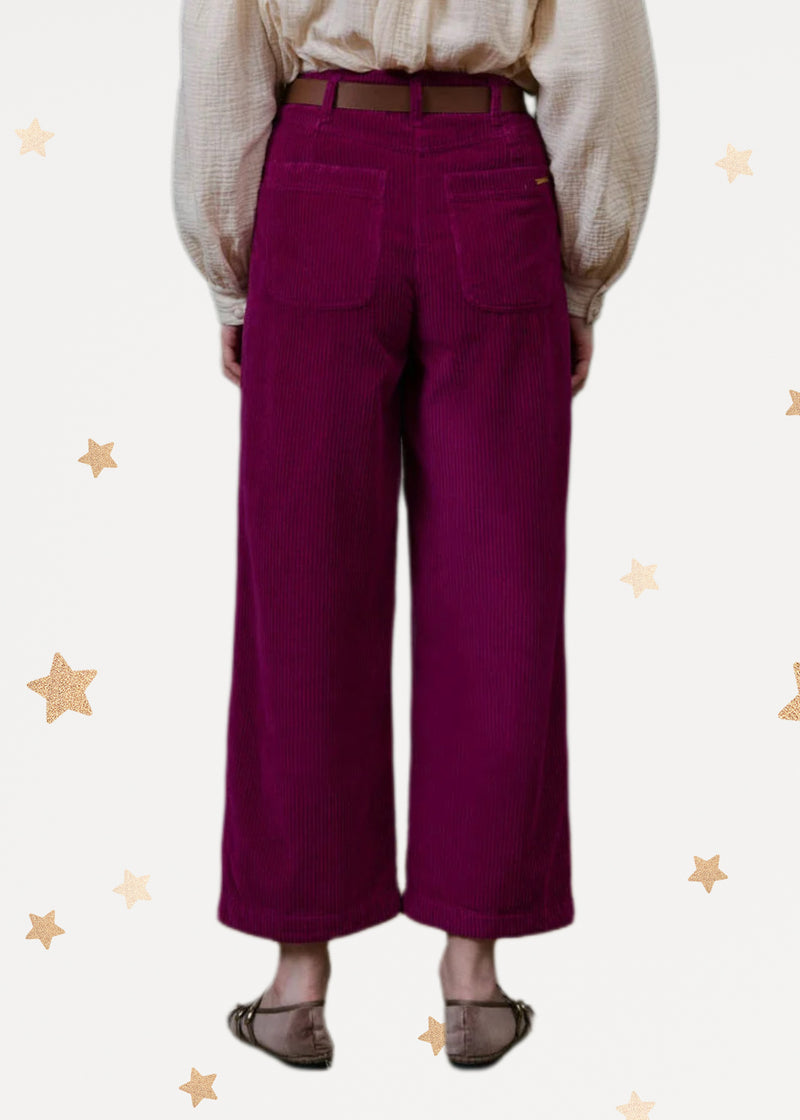 Velvet Pants