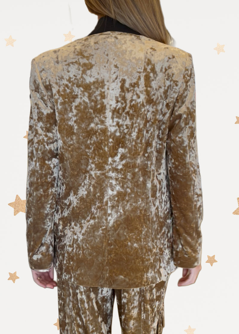 Velvet Chic Blazer