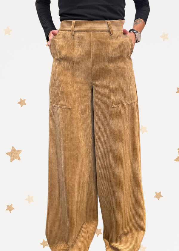 Velvet Palazzo Pants