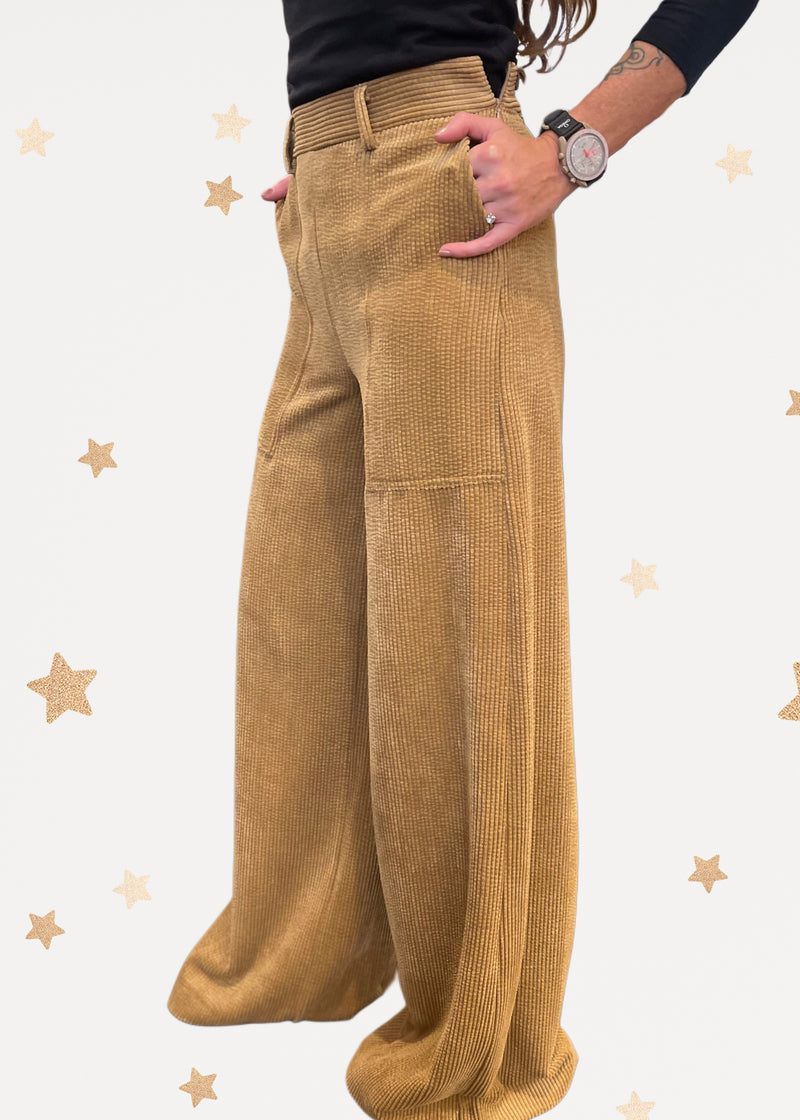 Velvet Palazzo Pants