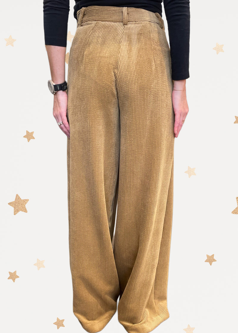 Velvet Palazzo Pants