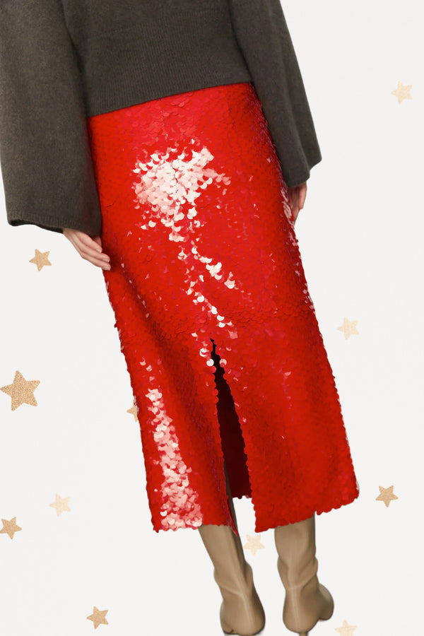 Paillettes Skirt