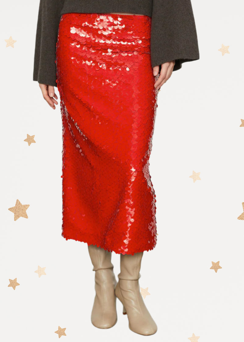 Paillettes Skirt